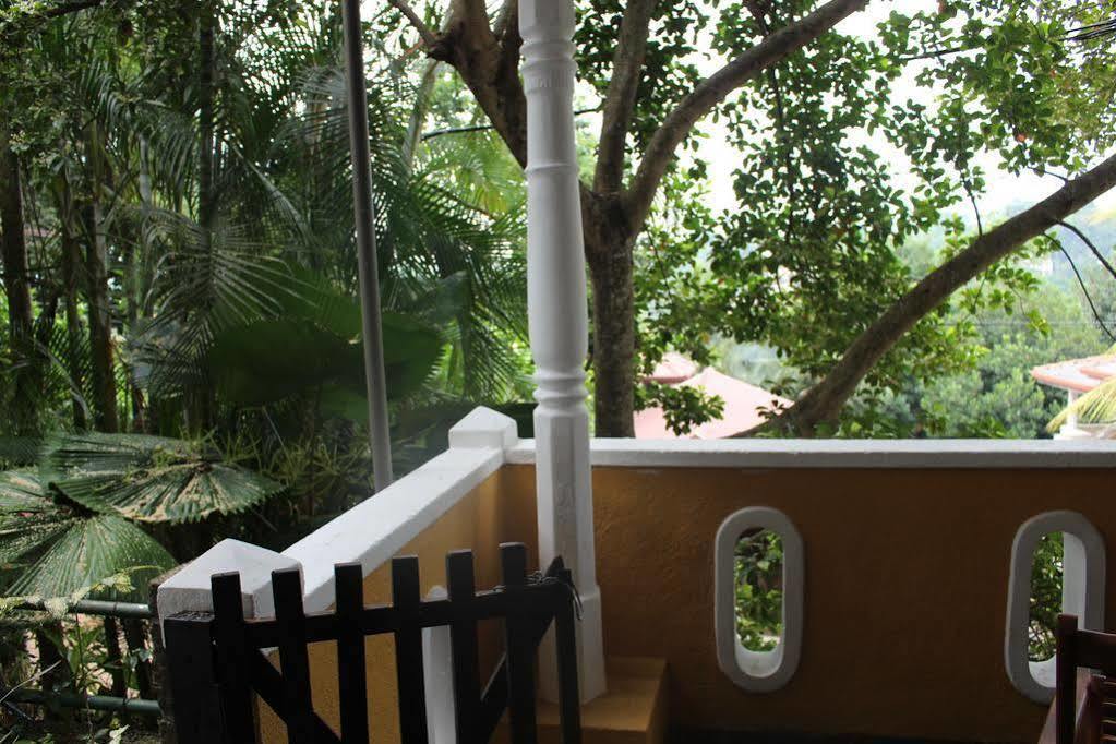 Alex Home Stay Канди Экстерьер фото